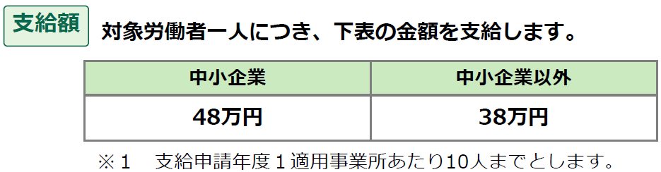65ΒٗpiB
